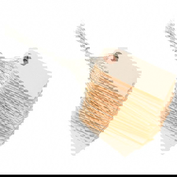 Blank Tag: 3-1/4'' High, Natural, Synthetic Paper